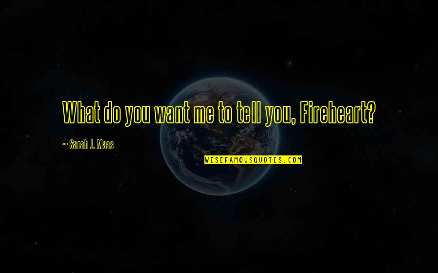Rowan Whitehorn Quotes By Sarah J. Maas: What do you want me to tell you, Rowan Whitehorn Quotes By Sarah J. Maas: What do you want me to tell you,