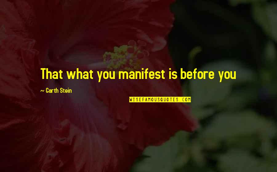 Rowdies Quotes By Garth Stein: That what you manifest is before you