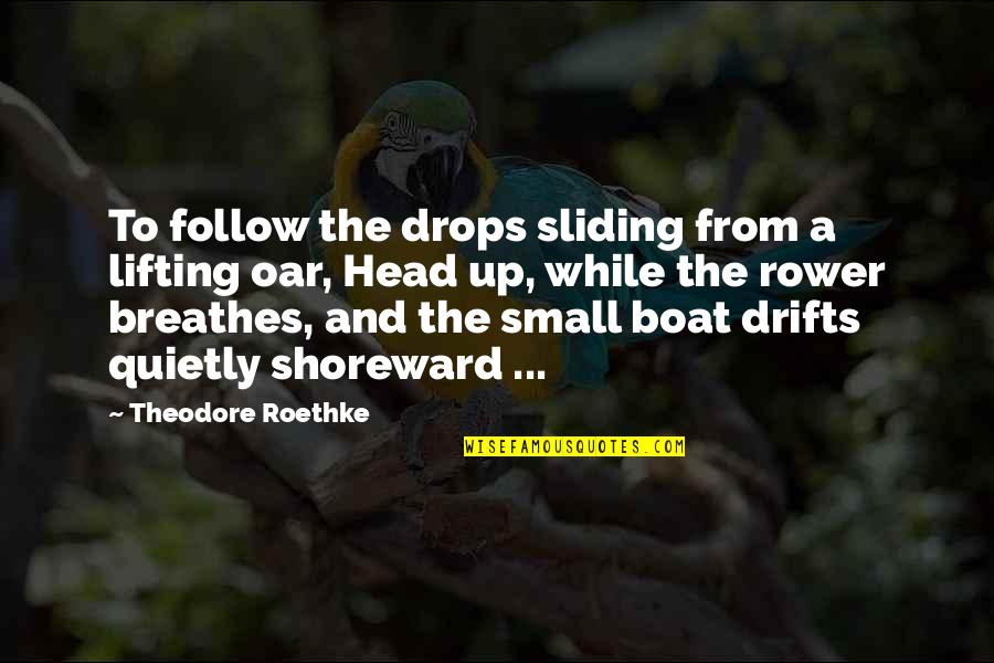 Rowing A Boat Quotes By Theodore Roethke: To follow the drops sliding from a lifting