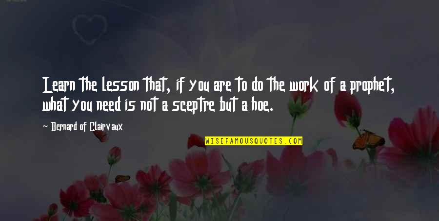Roxani Dating Quotes By Bernard Of Clairvaux: Learn the lesson that, if you are to Roxani Dating Quotes By Bernard Of Clairvaux: Learn the lesson that, if you are to
