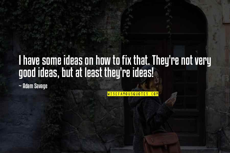 Roy Disney Values Quotes By Adam Savage: I have some ideas on how to fix