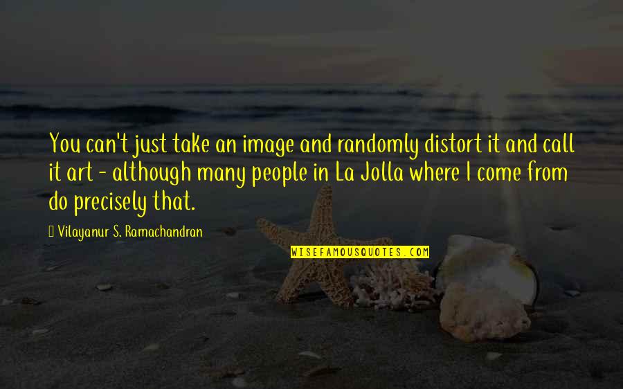 Roy Jenkins Quotes By Vilayanur S. Ramachandran: You can't just take an image and randomly