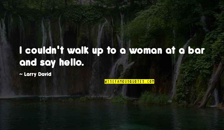 Roy Mcbride Quotes By Larry David: I couldn't walk up to a woman at