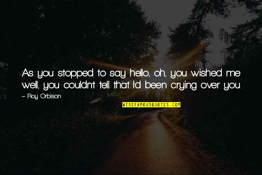 Roy Orbison Quotes By Roy Orbison: As you stopped to say hello, oh, you