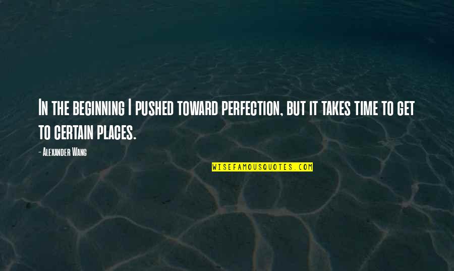 Roy Romanow Quotes By Alexander Wang: In the beginning I pushed toward perfection, but