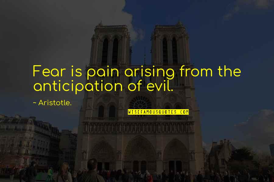 Roy Ssbm Quotes By Aristotle.: Fear is pain arising from the anticipation of