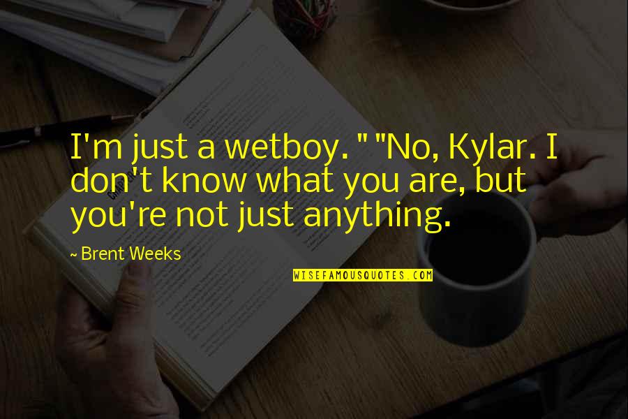 Royal Instagram Quotes By Brent Weeks: I'm just a wetboy. " "No, Kylar. I Royal Instagram Quotes By Brent Weeks: I'm just a wetboy. " "No, Kylar. I
