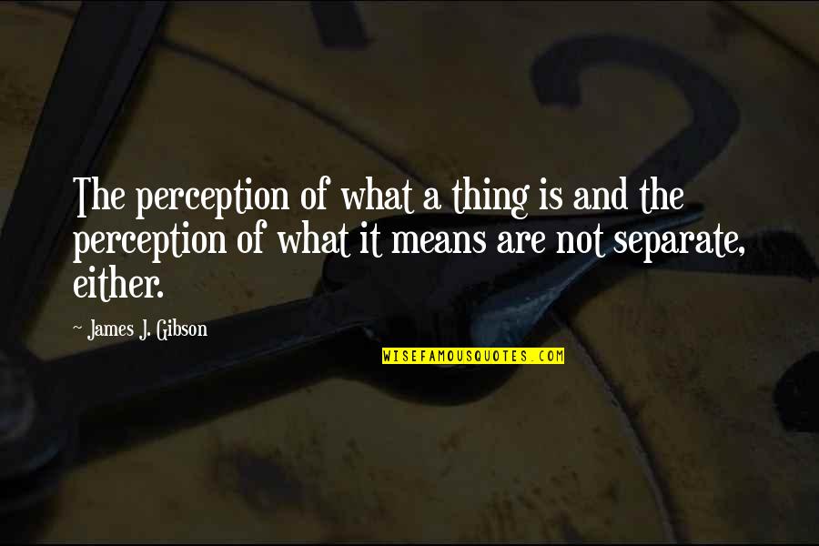 Roycesweetiepie Quotes By James J. Gibson: The perception of what a thing is and