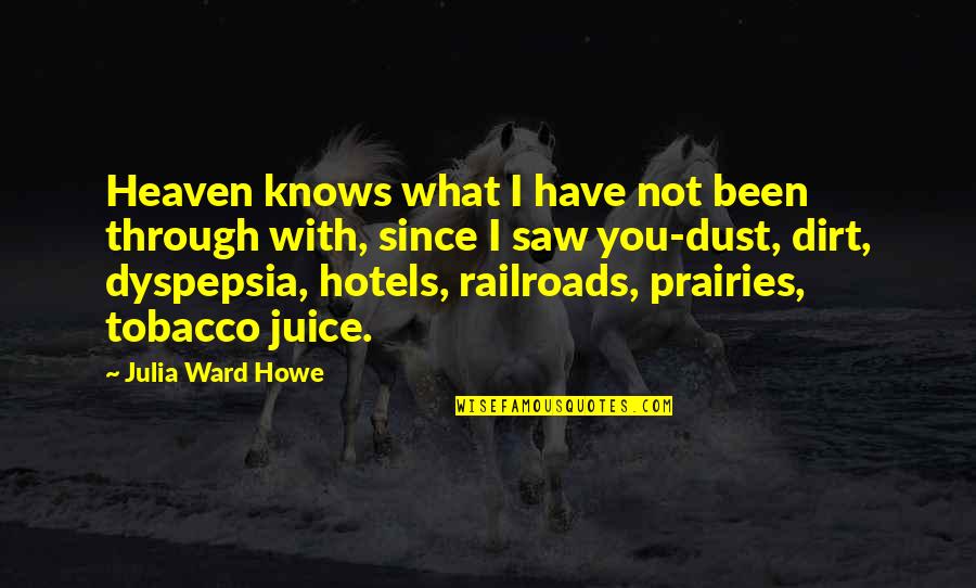 Roza E Rasool Quotes By Julia Ward Howe: Heaven knows what I have not been through Roza E Rasool Quotes By Julia Ward Howe: Heaven knows what I have not been through