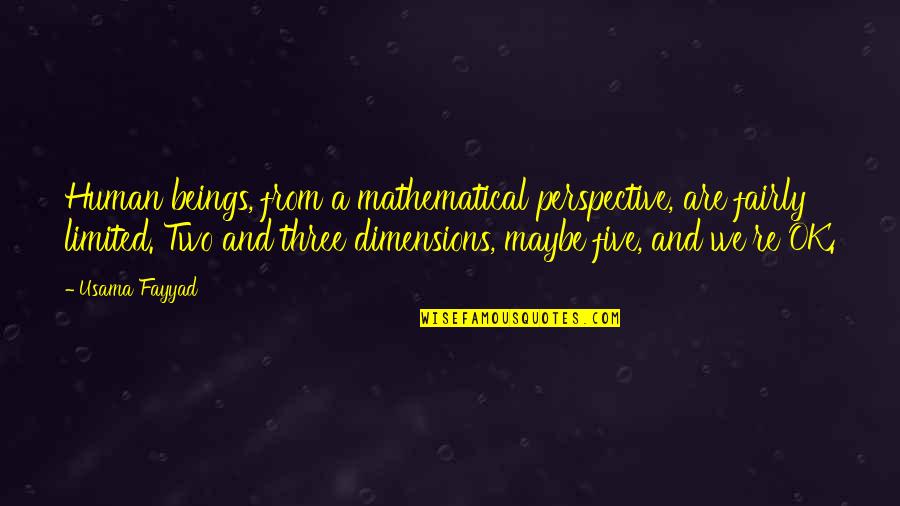 Rozanes V Quotes By Usama Fayyad: Human beings, from a mathematical perspective, are fairly Rozanes V Quotes By Usama Fayyad: Human beings, from a mathematical perspective, are fairly