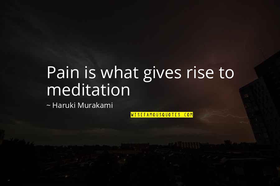 Rozdeba Joseph Quotes By Haruki Murakami: Pain is what gives rise to meditation