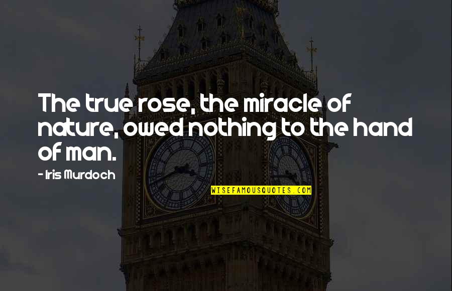 Rozos Boutique Quotes By Iris Murdoch: The true rose, the miracle of nature, owed