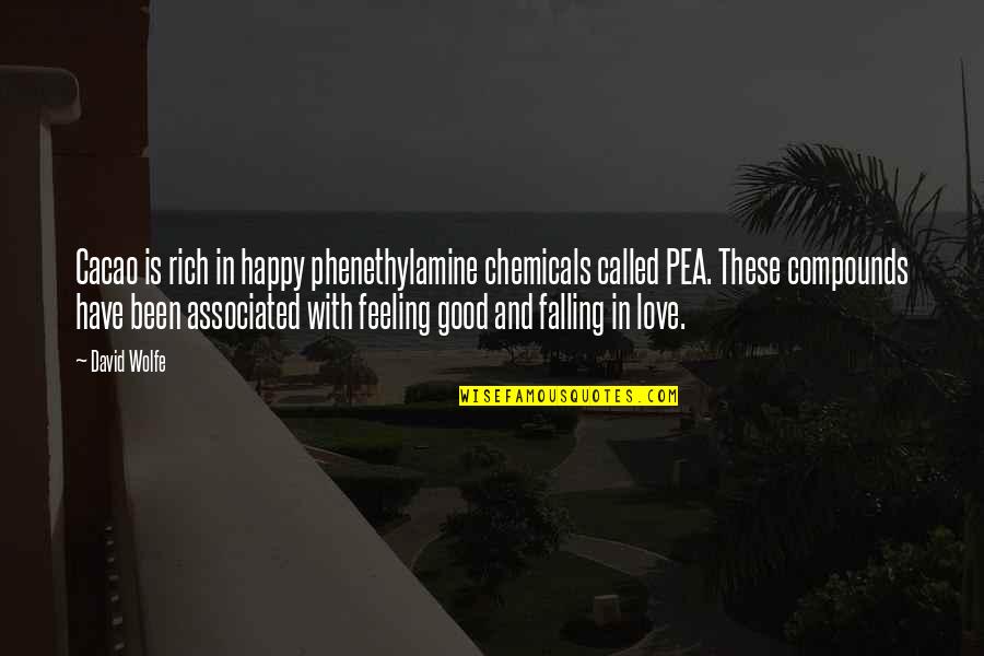 Rrahmani Transfermarkt Quotes By David Wolfe: Cacao is rich in happy phenethylamine chemicals called Rrahmani Transfermarkt Quotes By David Wolfe: Cacao is rich in happy phenethylamine chemicals called