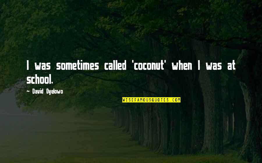 Rrets Gi Quotes By David Oyelowo: I was sometimes called 'coconut' when I was