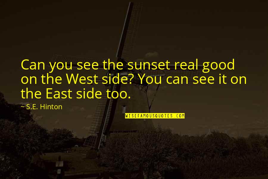 Ruakuri Quotes By S.E. Hinton: Can you see the sunset real good on