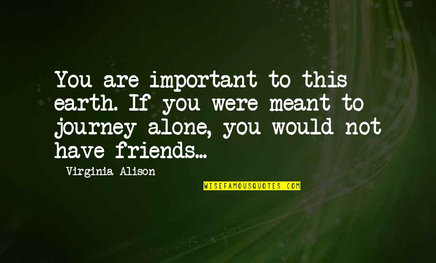 Ruaraidh Sutherland Quotes By Virginia Alison: You are important to this earth. If you Ruaraidh Sutherland Quotes By Virginia Alison: You are important to this earth. If you