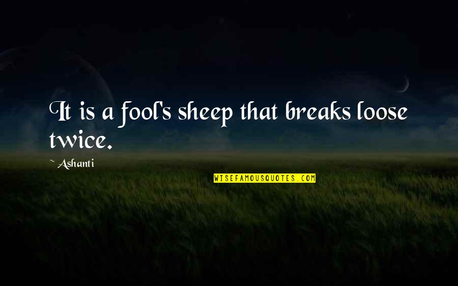 Rubbernecking Traffic Quotes By Ashanti: It is a fool's sheep that breaks loose