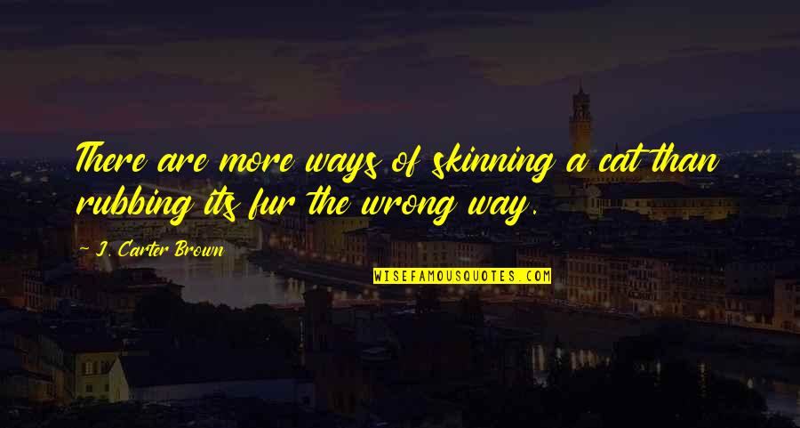 Rubbing Off Quotes By J. Carter Brown: There are more ways of skinning a cat