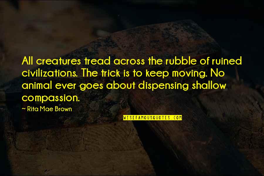 Rubble Quotes By Rita Mae Brown: All creatures tread across the rubble of ruined