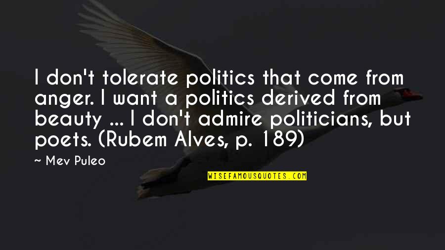 Rubem Quotes By Mev Puleo: I don't tolerate politics that come from anger.