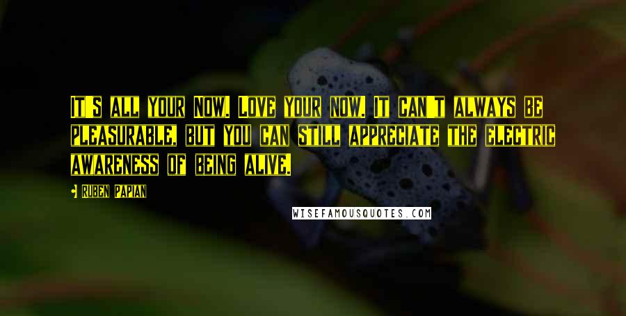 Ruben Papian quotes: It's all your Now. Love your now. It can't always be pleasurable, but you can still appreciate the electric awareness of being alive. Ruben Papian quotes: It's all your Now. Love your now. It can't always be pleasurable, but you can still appreciate the electric awareness of being alive.