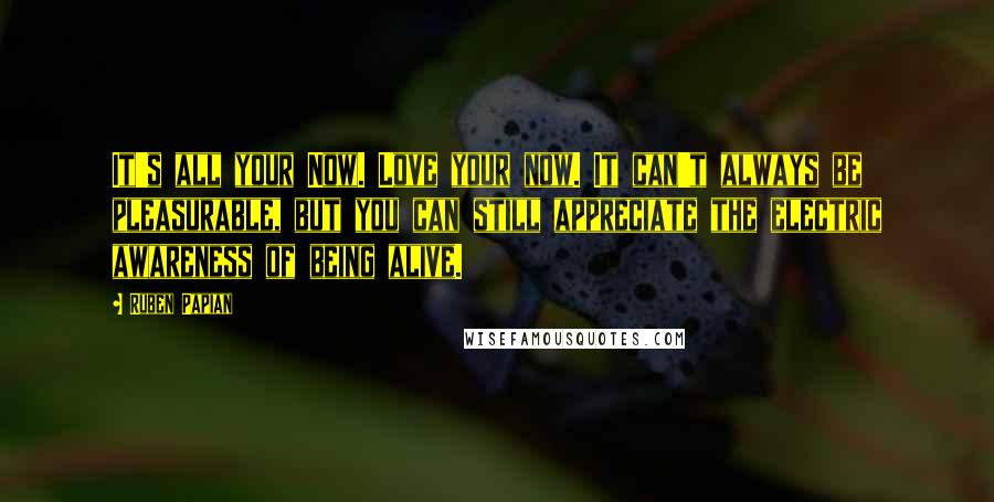 Ruben Papian quotes: It's all your Now. Love your now. It can't always be pleasurable, but you can still appreciate the electric awareness of being alive.