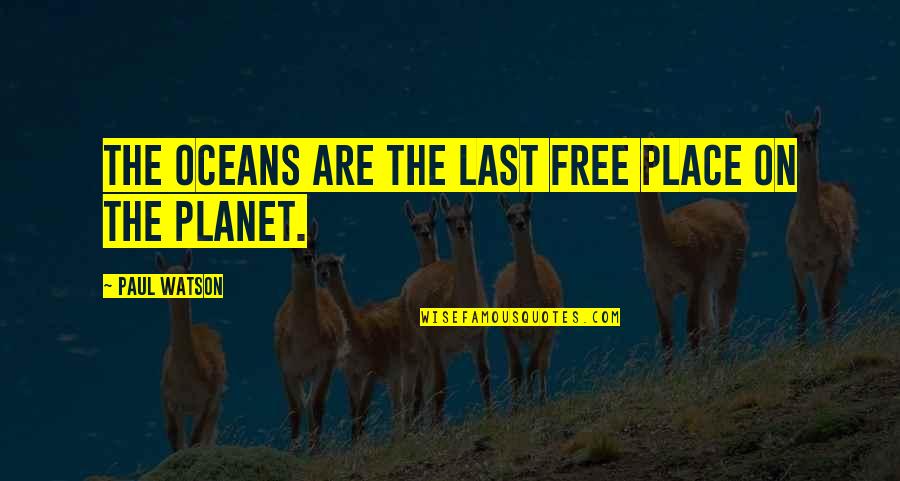 Rubros Significado Quotes By Paul Watson: The oceans are the last free place on