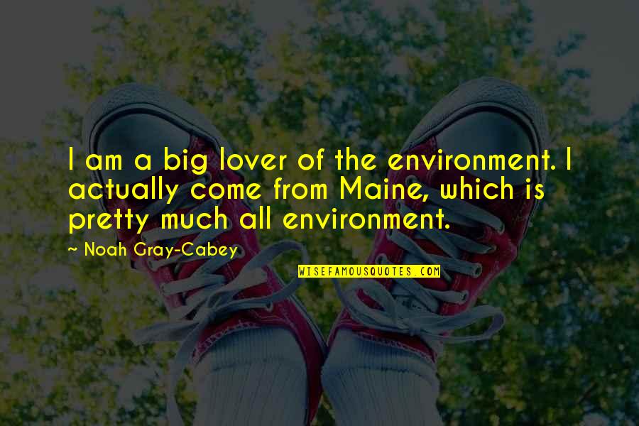 Ruchama Marton Quotes By Noah Gray-Cabey: I am a big lover of the environment.