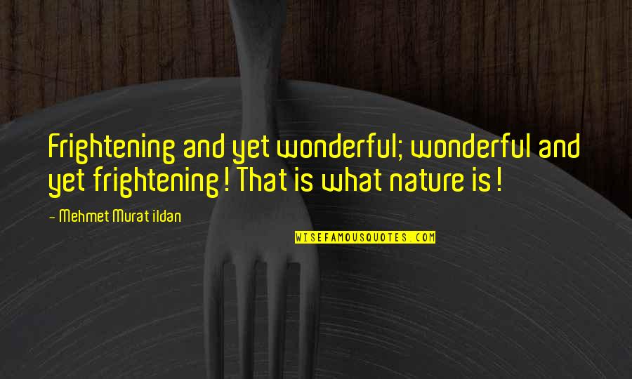 Rudderless Quotes By Mehmet Murat Ildan: Frightening and yet wonderful; wonderful and yet frightening! Rudderless Quotes By Mehmet Murat Ildan: Frightening and yet wonderful; wonderful and yet frightening!