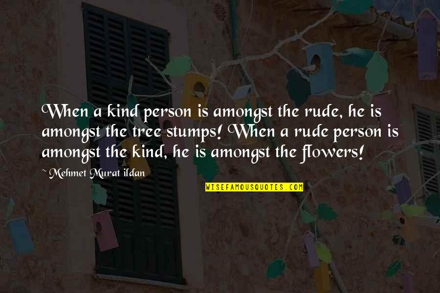 Rude Person Quotes By Mehmet Murat Ildan: When a kind person is amongst the rude,