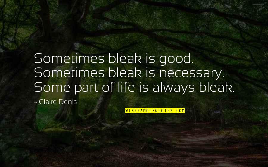 Rudiak Death Quotes By Claire Denis: Sometimes bleak is good. Sometimes bleak is necessary.