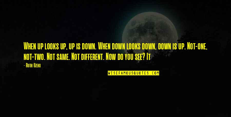 Rudimentals Band Quotes By Ruth Ozeki: When up looks up, up is down. When