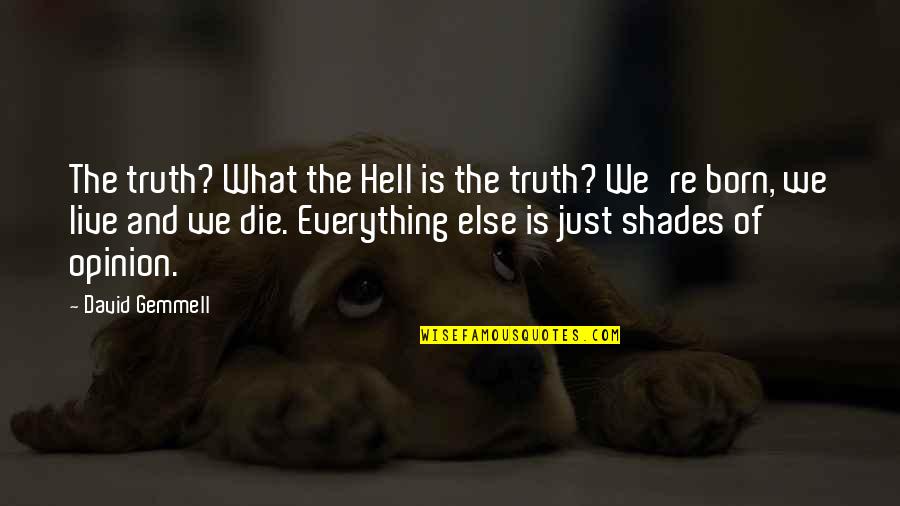 Rudisill Electric Quotes By David Gemmell: The truth? What the Hell is the truth?