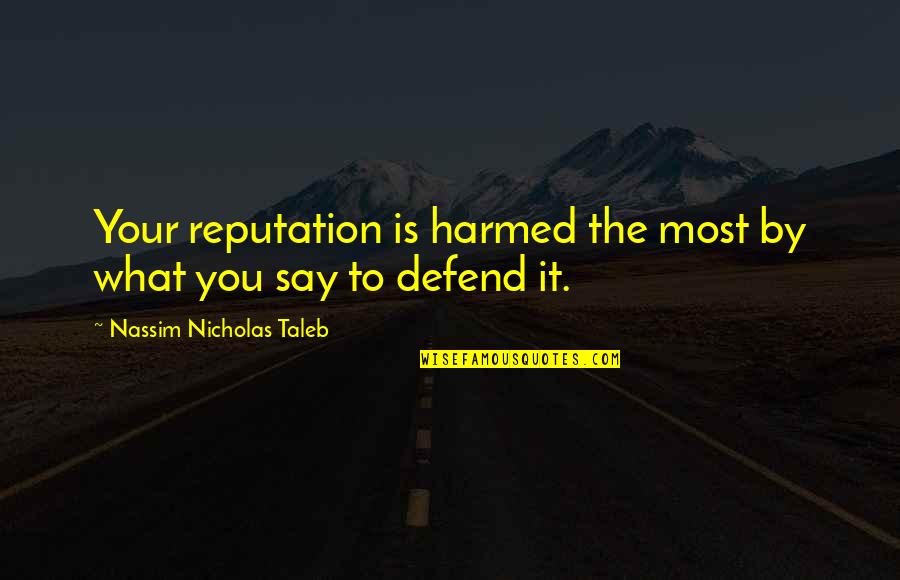 Rudner Or Hayworth Quotes By Nassim Nicholas Taleb: Your reputation is harmed the most by what Rudner Or Hayworth Quotes By Nassim Nicholas Taleb: Your reputation is harmed the most by what