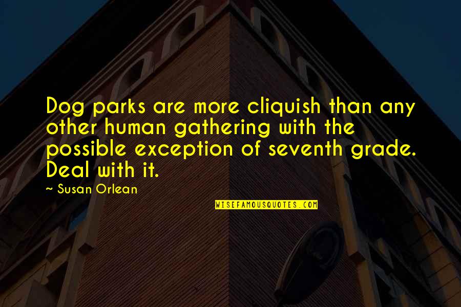 Rudolpho Quinones Quotes By Susan Orlean: Dog parks are more cliquish than any other Rudolpho Quinones Quotes By Susan Orlean: Dog parks are more cliquish than any other