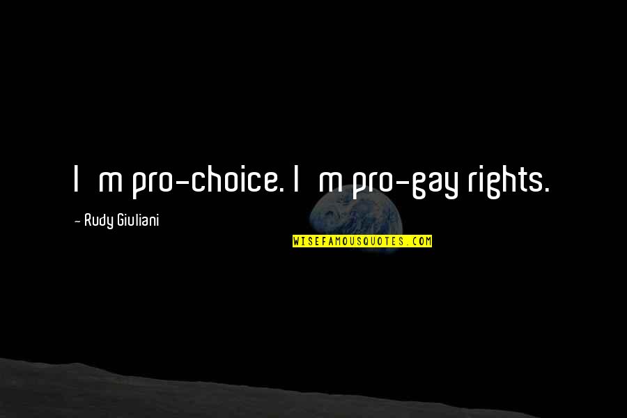 Rudy Giuliani Quotes By Rudy Giuliani: I'm pro-choice. I'm pro-gay rights.