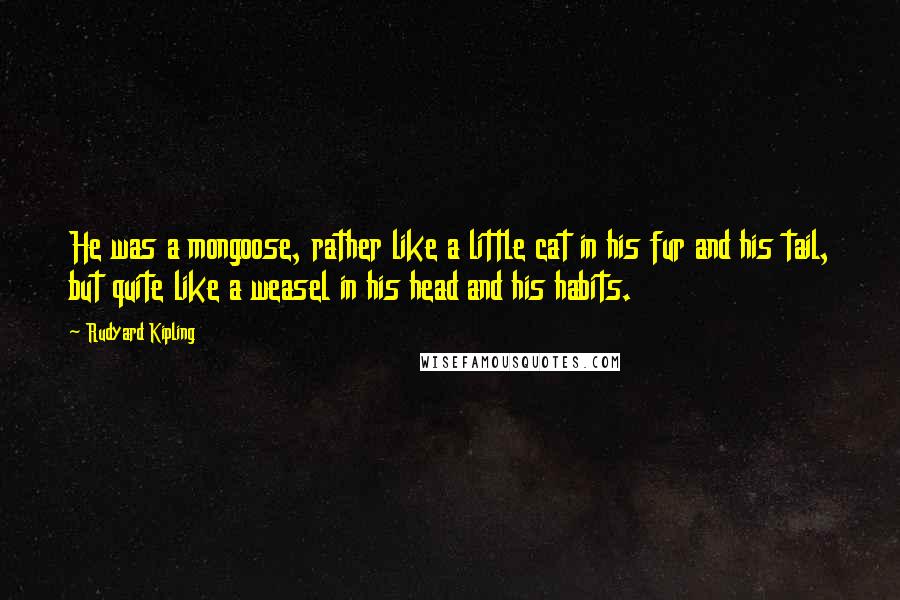 Rudyard Kipling quotes: He was a mongoose, rather like a little cat in his fur and his tail, but quite like a weasel in his head and his habits.