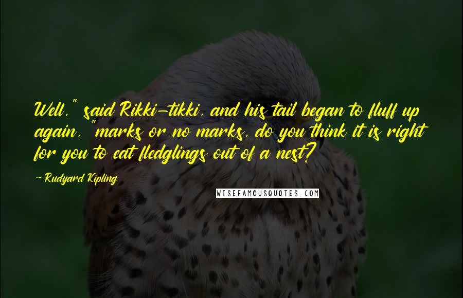 Rudyard Kipling quotes: Well," said Rikki-tikki, and his tail began to fluff up again, "marks or no marks, do you think it is right for you to eat fledglings out of a nest?