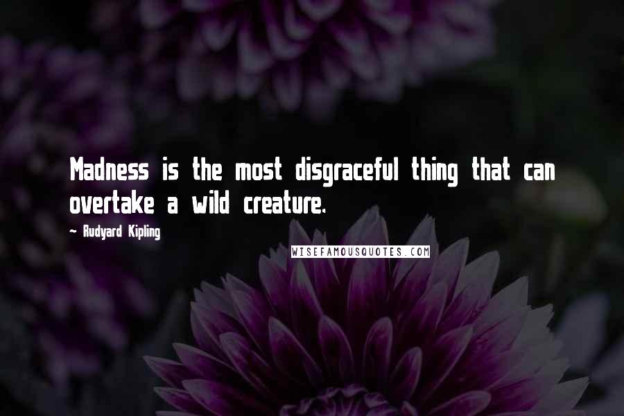 Rudyard Kipling quotes: Madness is the most disgraceful thing that can overtake a wild creature.