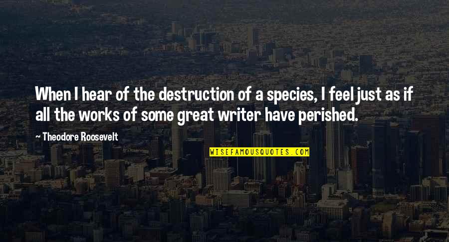 Rue Bennett Quotes By Theodore Roosevelt: When I hear of the destruction of a