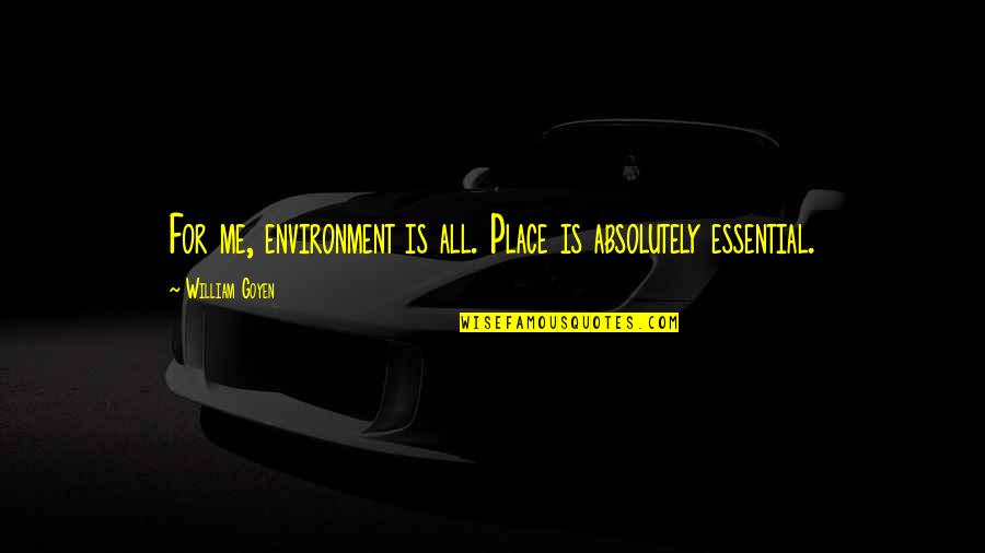 Ruelas Louis Quotes By William Goyen: For me, environment is all. Place is absolutely