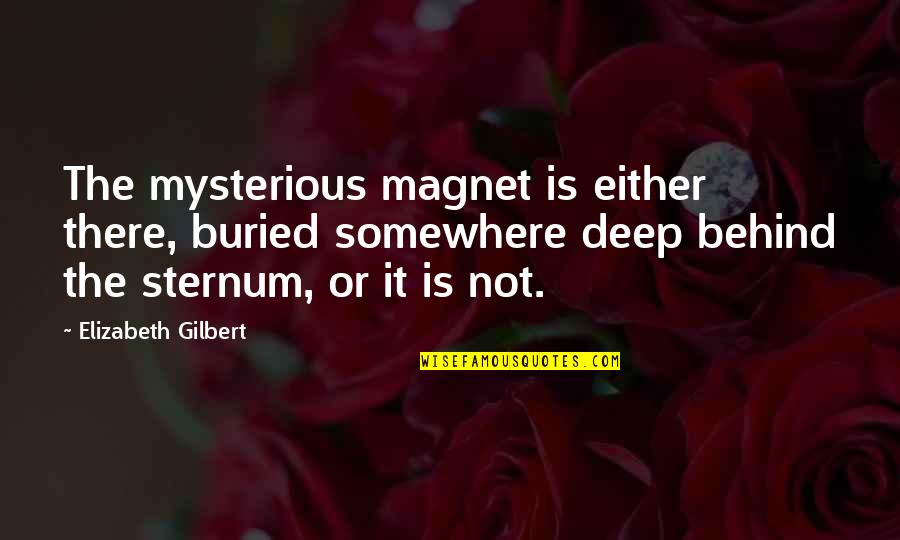 Rufello Quotes By Elizabeth Gilbert: The mysterious magnet is either there, buried somewhere Rufello Quotes By Elizabeth Gilbert: The mysterious magnet is either there, buried somewhere