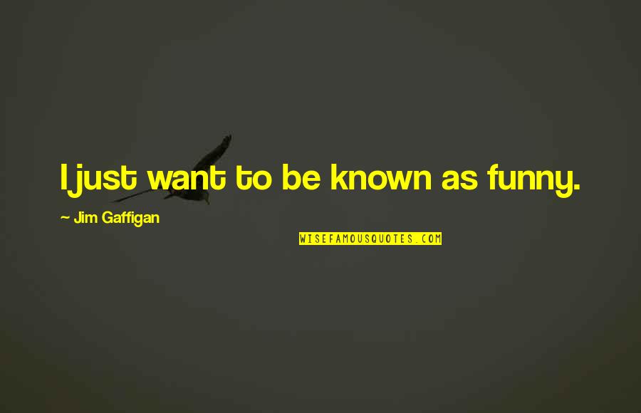 Ruffet Dr Quotes By Jim Gaffigan: I just want to be known as funny.