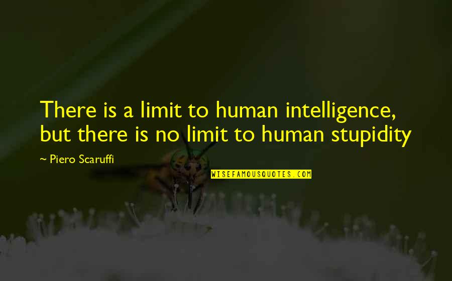 Ruffier Jewelry Quotes By Piero Scaruffi: There is a limit to human intelligence, but