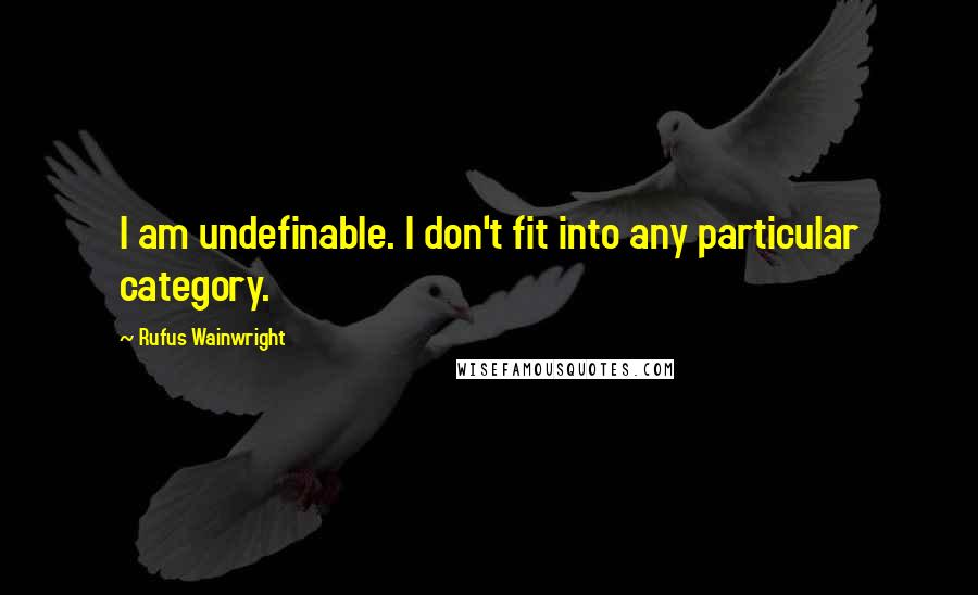 Rufus Wainwright quotes: I am undefinable. I don't fit into any particular category.