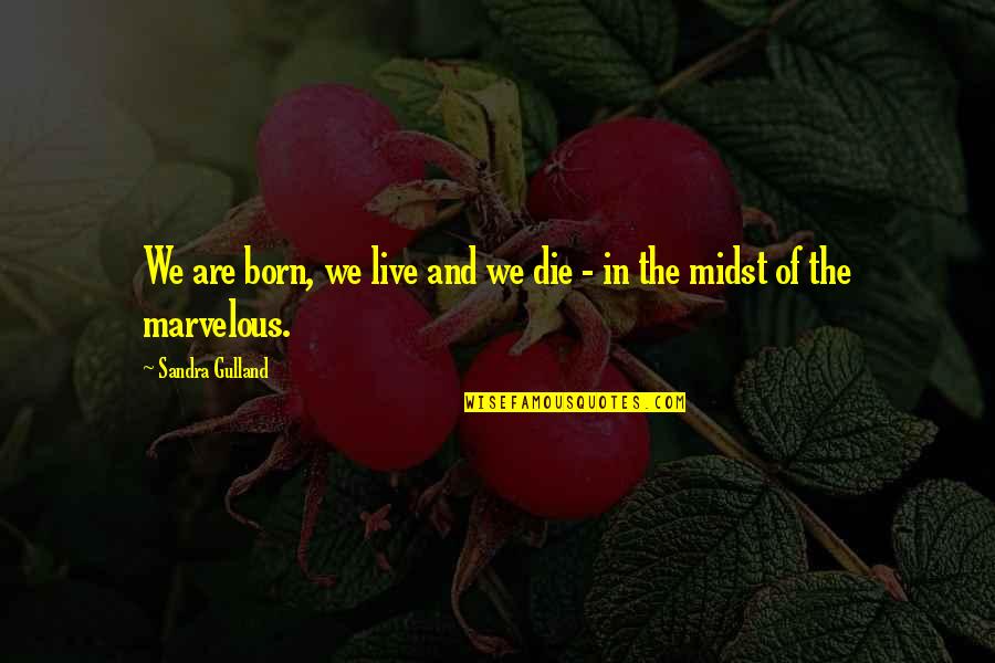 Rugaciunea Tatal Nostru Quotes By Sandra Gulland: We are born, we live and we die