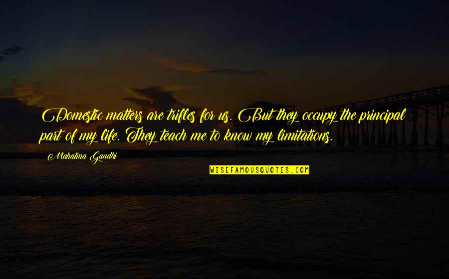 Rugosit Quotes By Mahatma Gandhi: Domestic matters are trifles for us. But they Rugosit Quotes By Mahatma Gandhi: Domestic matters are trifles for us. But they