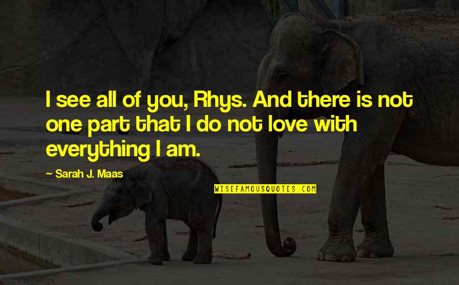 Ruin Love Quotes By Sarah J. Maas: I see all of you, Rhys. And there