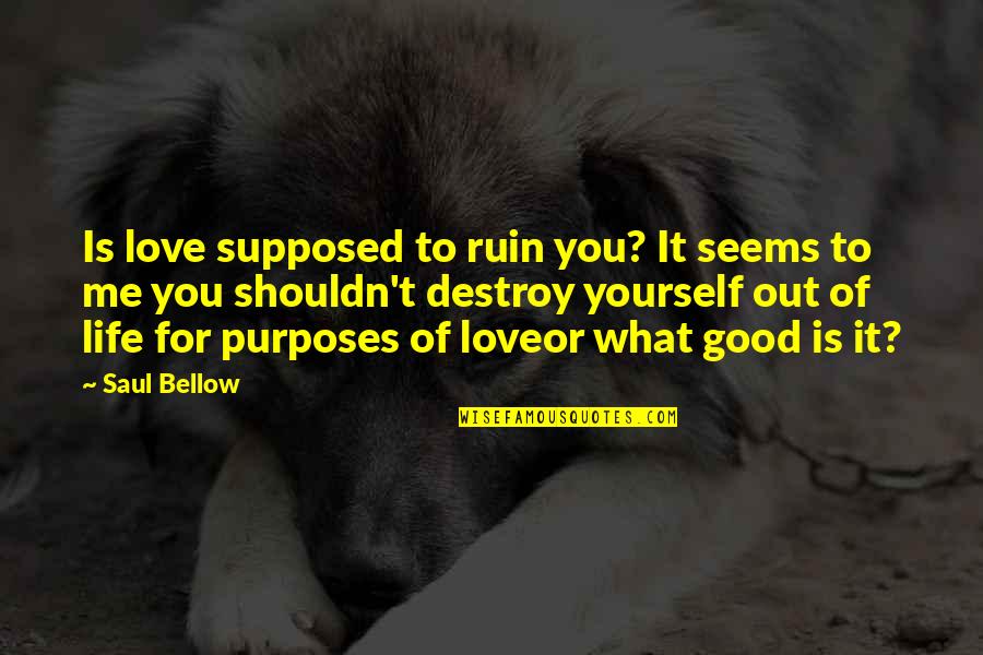 Ruin Love Quotes By Saul Bellow: Is love supposed to ruin you? It seems