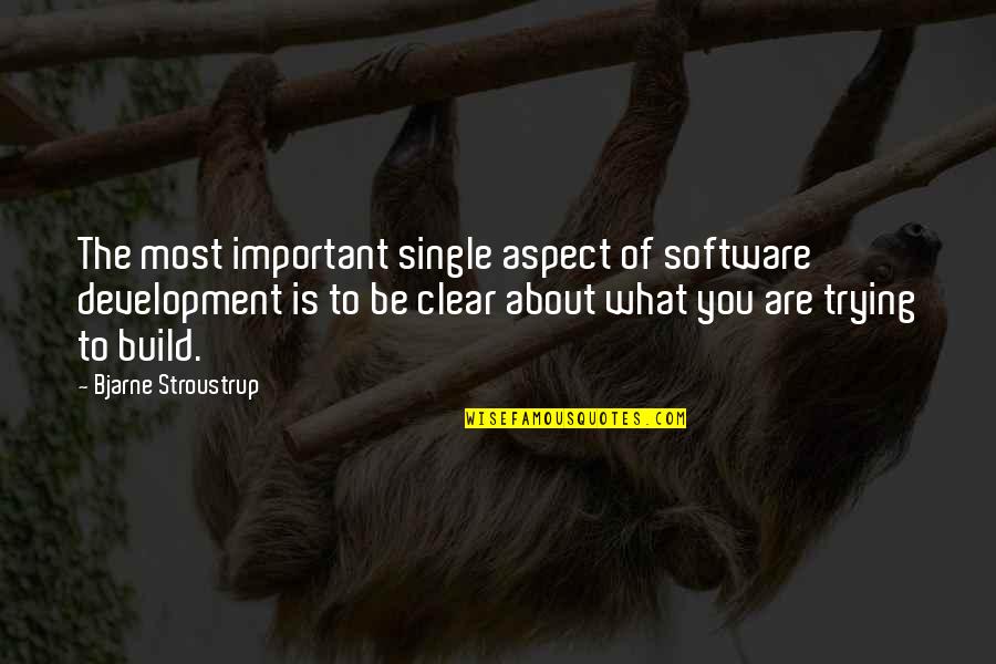 Ruined Family Quotes By Bjarne Stroustrup: The most important single aspect of software development